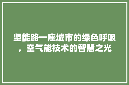 坚能路一座城市的绿色呼吸，空气能技术的智慧之光