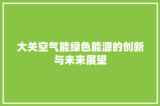 大关空气能绿色能源的创新与未来展望 家电维修