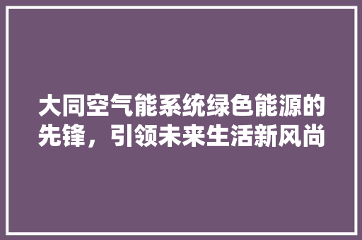 大同空气能系统绿色能源的先锋，引领未来生活新风尚 综合便民