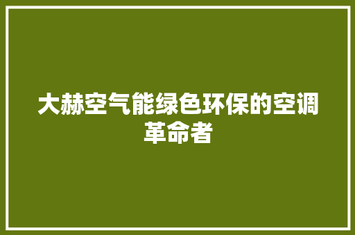 大赫空气能绿色环保的空调革命者