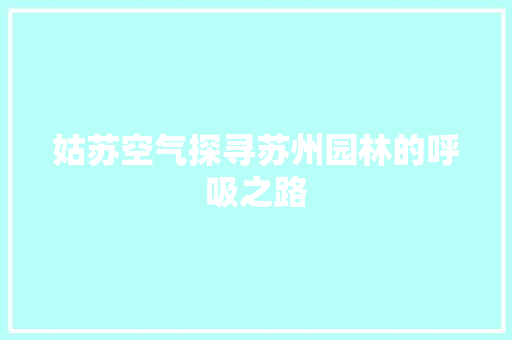 姑苏空气探寻苏州园林的呼吸之路