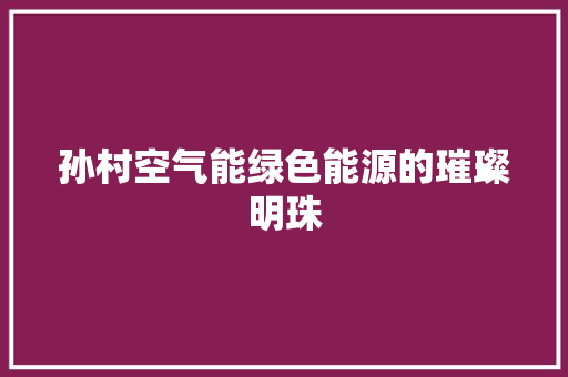 孙村空气能绿色能源的璀璨明珠 厨房维修