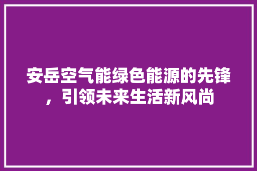安岳空气能绿色能源的先锋，引领未来生活新风尚