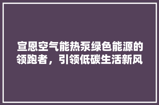 宣恩空气能热泵绿色能源的领跑者，引领低碳生活新风尚