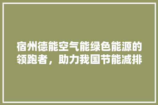 宿州德能空气能绿色能源的领跑者，助力我国节能减排事业