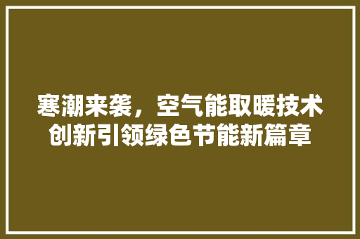 寒潮来袭，空气能取暖技术创新引领绿色节能新篇章