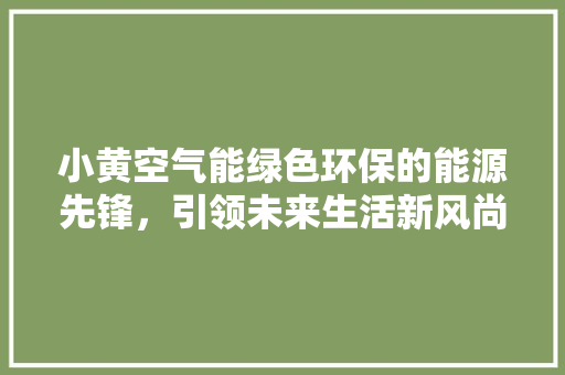 小黄空气能绿色环保的能源先锋，引领未来生活新风尚