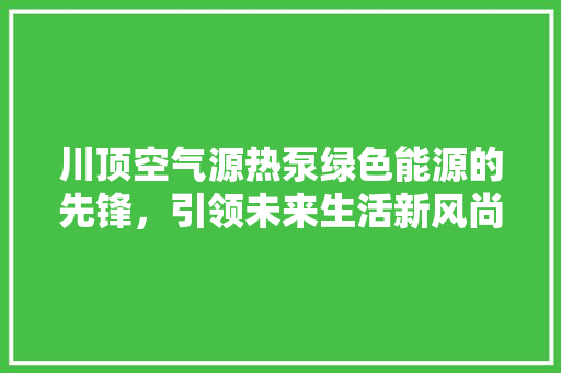 川顶空气源热泵绿色能源的先锋，引领未来生活新风尚