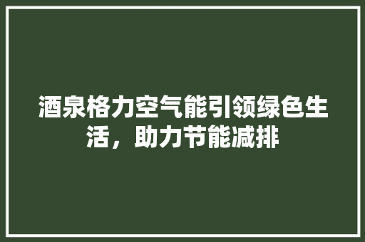 酒泉格力空气能引领绿色生活，助力节能减排
