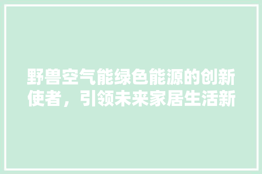 野兽空气能绿色能源的创新使者，引领未来家居生活新潮流