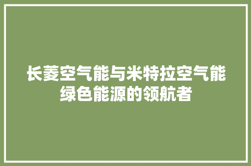 长菱空气能与米特拉空气能绿色能源的领航者