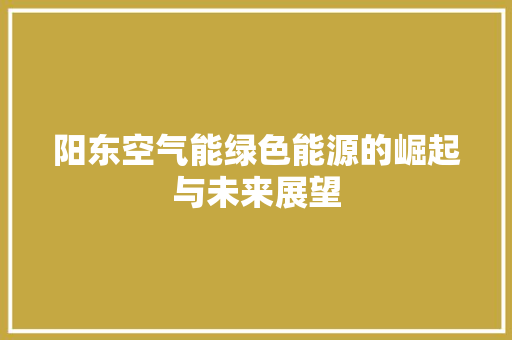 阳东空气能绿色能源的崛起与未来展望