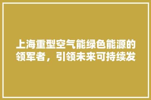 上海重型空气能绿色能源的领军者，引领未来可持续发展之路 家电维修