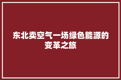 东北卖空气一场绿色能源的变革之旅