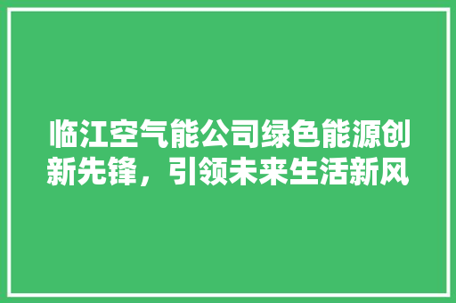 临江空气能公司绿色能源创新先锋，引领未来生活新风尚 厨房维修