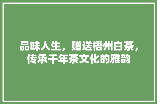 品味人生，赠送梧州白茶，传承千年茶文化的雅韵 品味人生，赠送梧州白茶，传承千年茶文化的雅韵 厨房维修