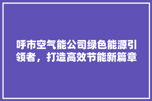呼市空气能公司绿色能源引领者，打造高效节能新篇章 厨房维修