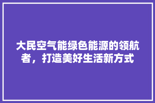 大民空气能绿色能源的领航者，打造美好生活新方式