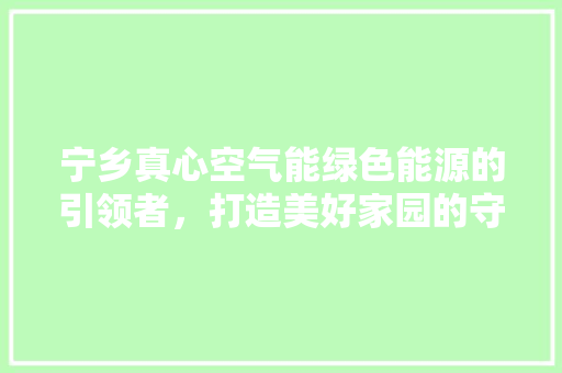 宁乡真心空气能绿色能源的引领者，打造美好家园的守护者