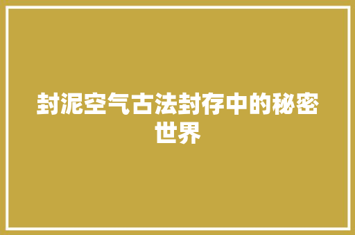 封泥空气古法封存中的秘密世界