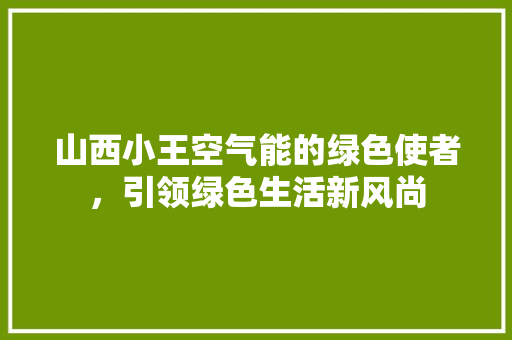 山西小王空气能的绿色使者，引领绿色生活新风尚