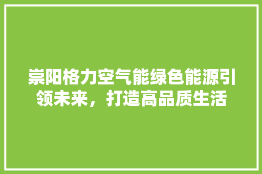 崇阳格力空气能绿色能源引领未来，打造高品质生活 汽车维修