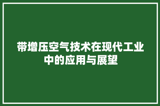 带增压空气技术在现代工业中的应用与展望