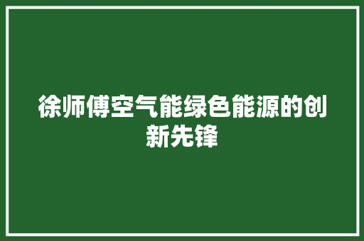 徐师傅空气能绿色能源的创新先锋