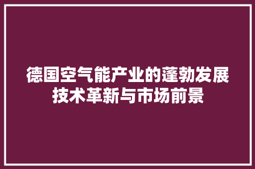德国空气能产业的蓬勃发展技术革新与市场前景