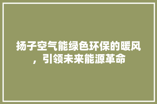 扬子空气能绿色环保的暖风，引领未来能源革命 汽车维修