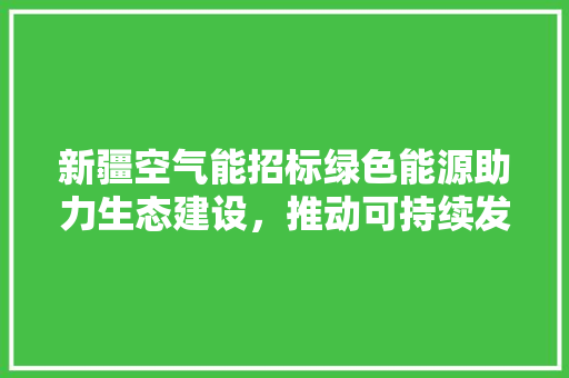 新疆空气能招标绿色能源助力生态建设，推动可持续发展 厨房维修
