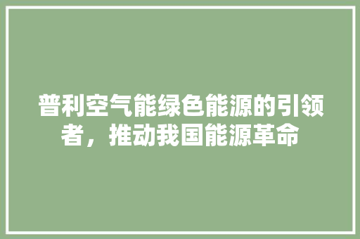 普利空气能绿色能源的引领者，推动我国能源革命 厨房维修