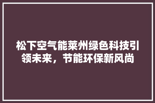 松下空气能莱州绿色科技引领未来，节能环保新风尚