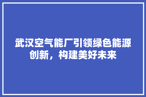 武汉空气能厂引领绿色能源创新，构建美好未来