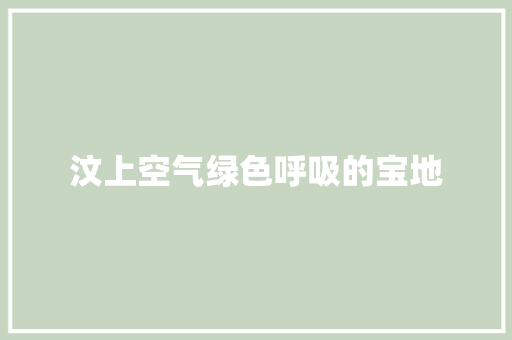 汶上空气绿色呼吸的宝地