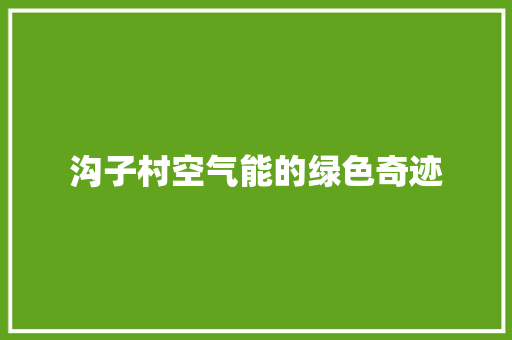 沟子村空气能的绿色奇迹 墙体维修