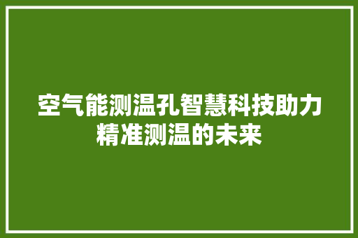 空气能测温孔智慧科技助力精准测温的未来 墙体维修