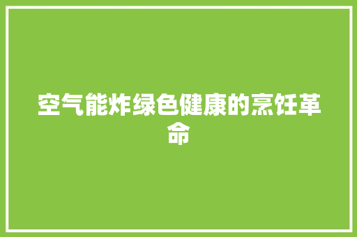 空气能炸绿色健康的烹饪革命