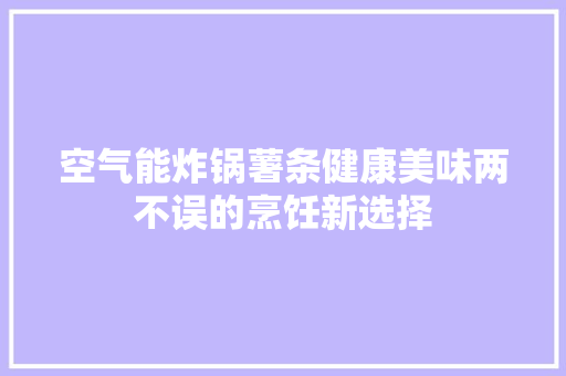 空气能炸锅薯条健康美味两不误的烹饪新选择