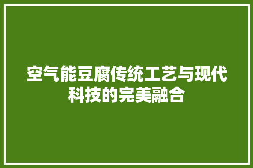 空气能豆腐传统工艺与现代科技的完美融合