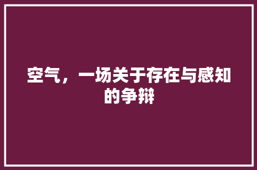 空气，一场关于存在与感知的争辩