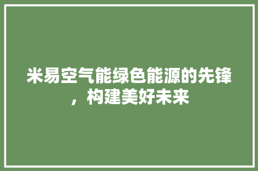 米易空气能绿色能源的先锋，构建美好未来