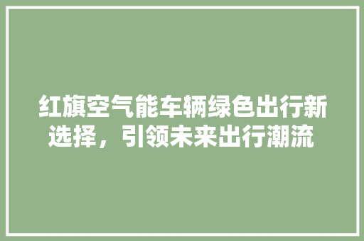红旗空气能车辆绿色出行新选择，引领未来出行潮流 墙体维修