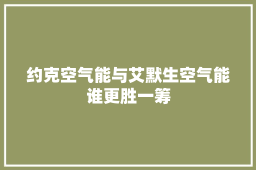 约克空气能与艾默生空气能谁更胜一筹 厨房维修