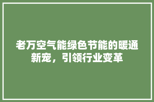 老万空气能绿色节能的暖通新宠，引领行业变革