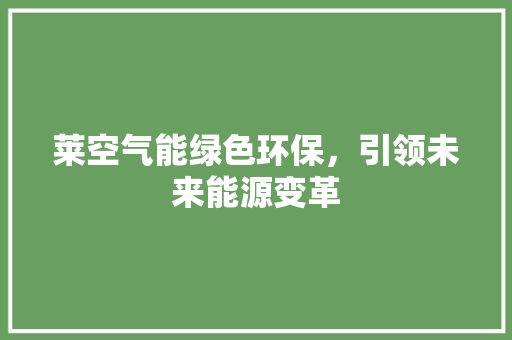 莱空气能绿色环保，引领未来能源变革 综合便民
