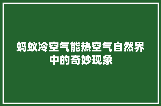 蚂蚁冷空气能热空气自然界中的奇妙现象