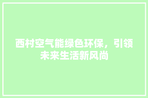 西村空气能绿色环保，引领未来生活新风尚