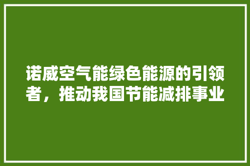 诺威空气能绿色能源的引领者，推动我国节能减排事业 厨房维修