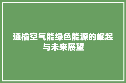 通榆空气能绿色能源的崛起与未来展望 厨房维修